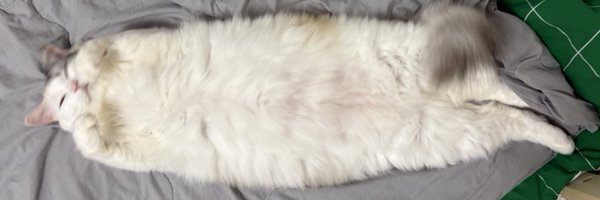 pawa_cha Profile Banner