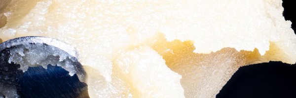 TJVPhotography_ Profile Banner