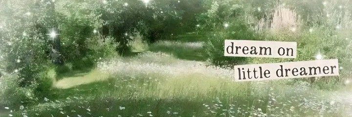 slytherstudent's profile banner image