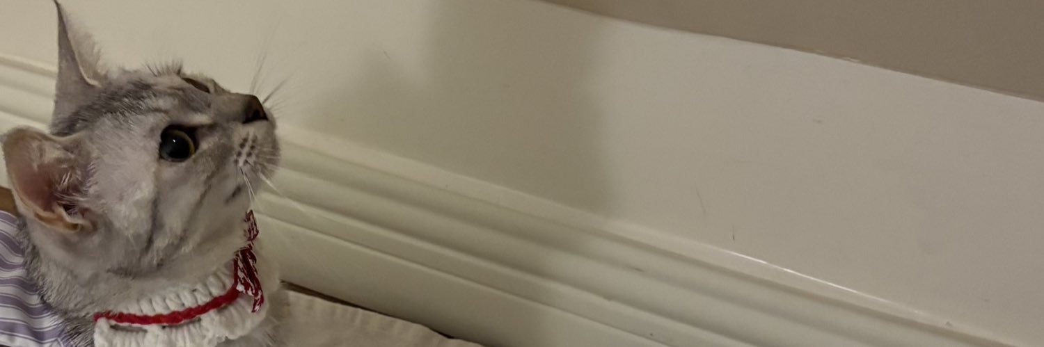 gee banner