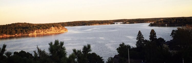 Negra Efendić banner