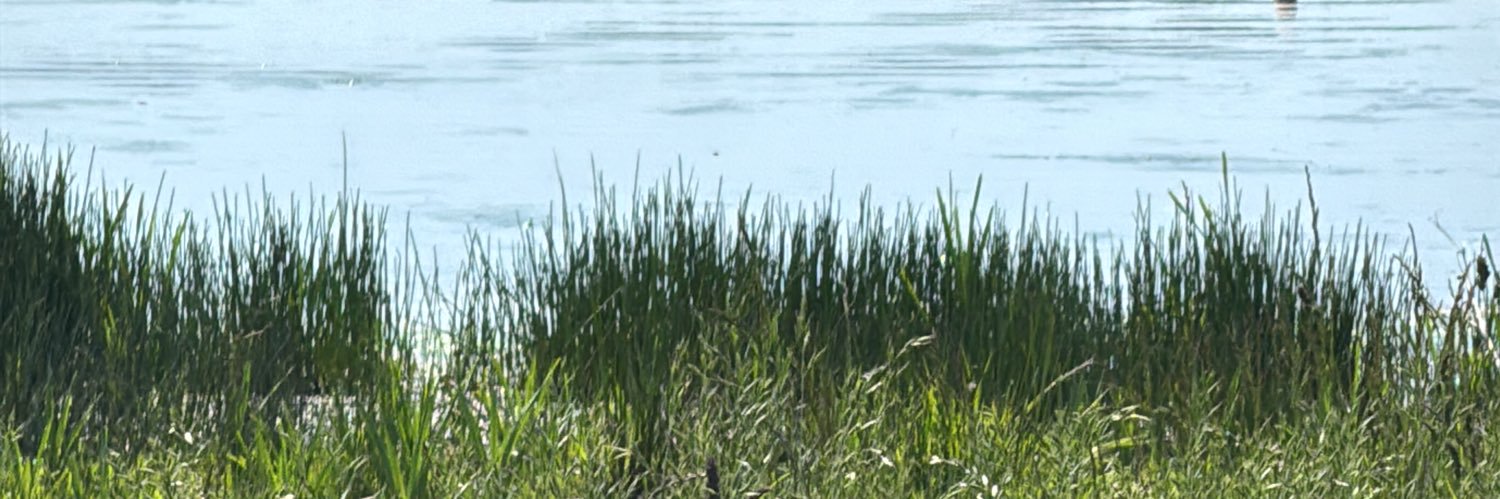 BackmanPed90388's profile banner image