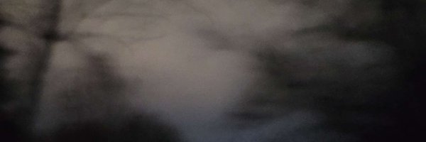 H0RR1DN1GHTS Profile Banner
