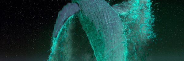 _fenglong Profile Banner