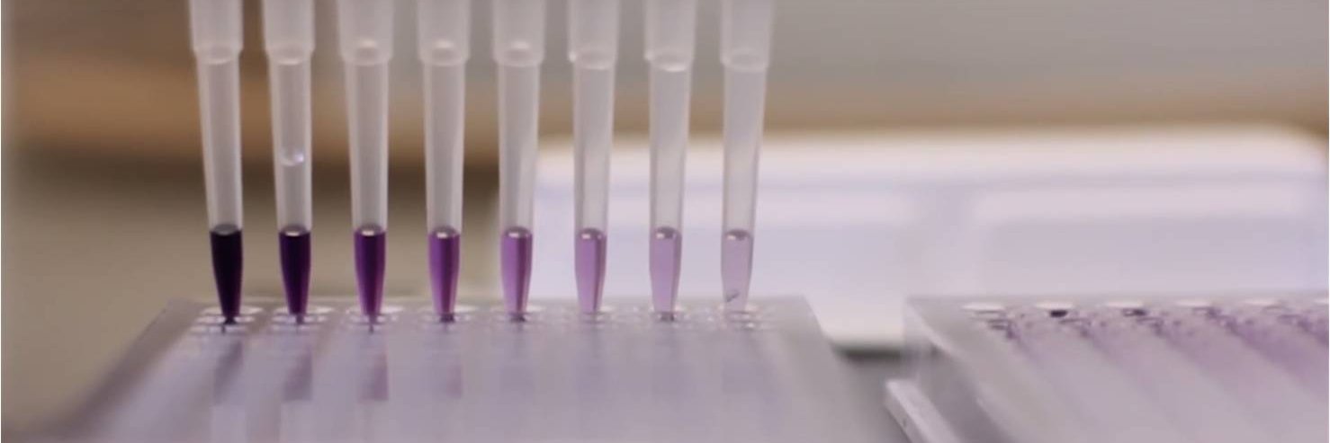 Medicinal Chemistry and Synthesis (MCS) group banner