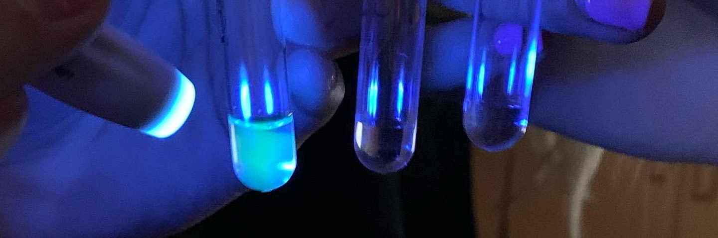 Mark Peterson banner