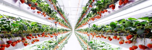 oishiifarm_jp Profile Banner