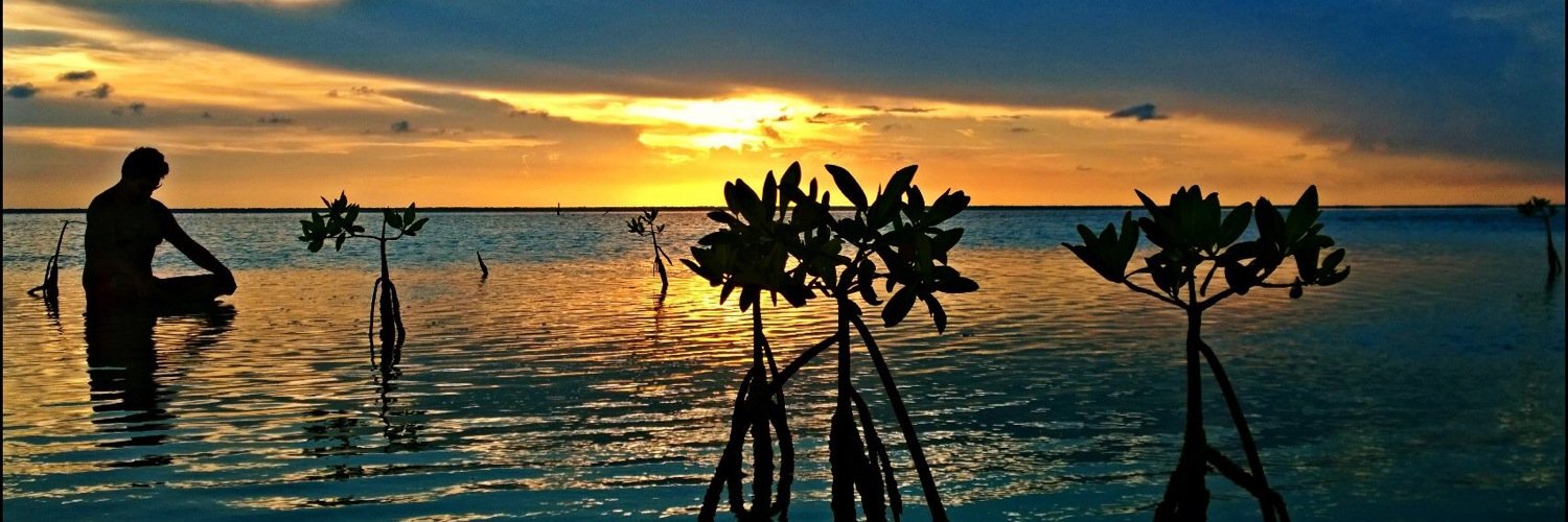 RitchPlata's profile banner image