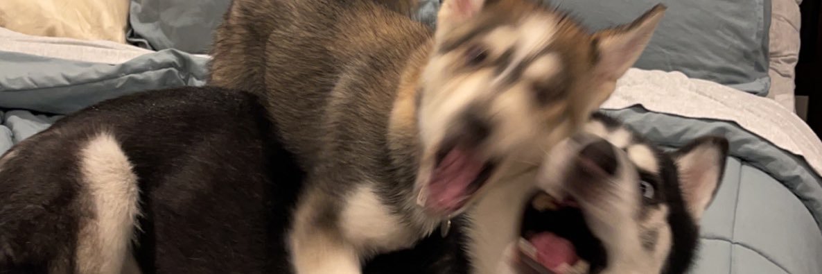 iDannyMcFlyy's profile banner image