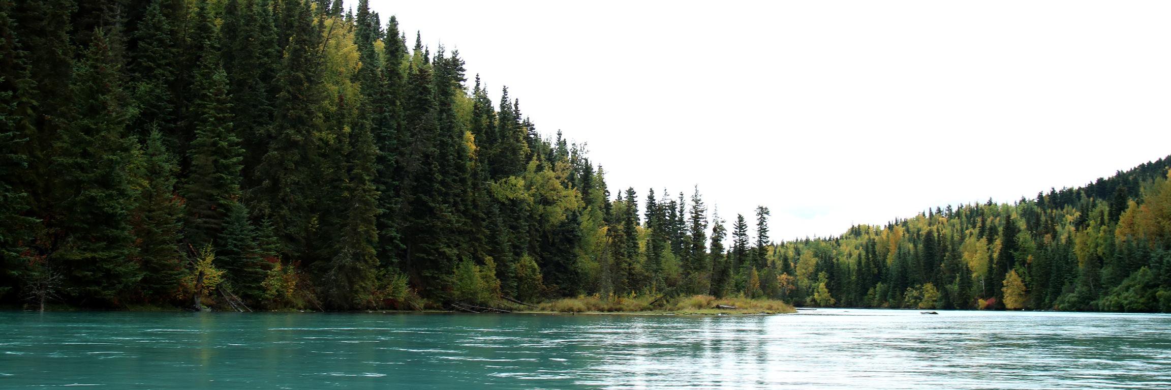 EmilyKillion8's profile banner image