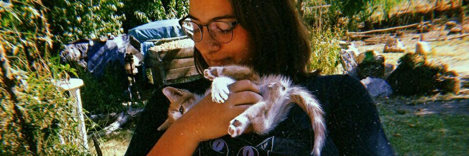 mili_est's profile banner image