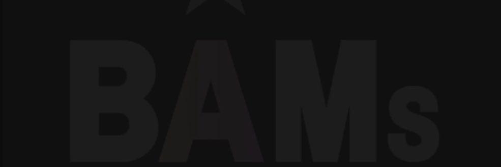BAMs banner