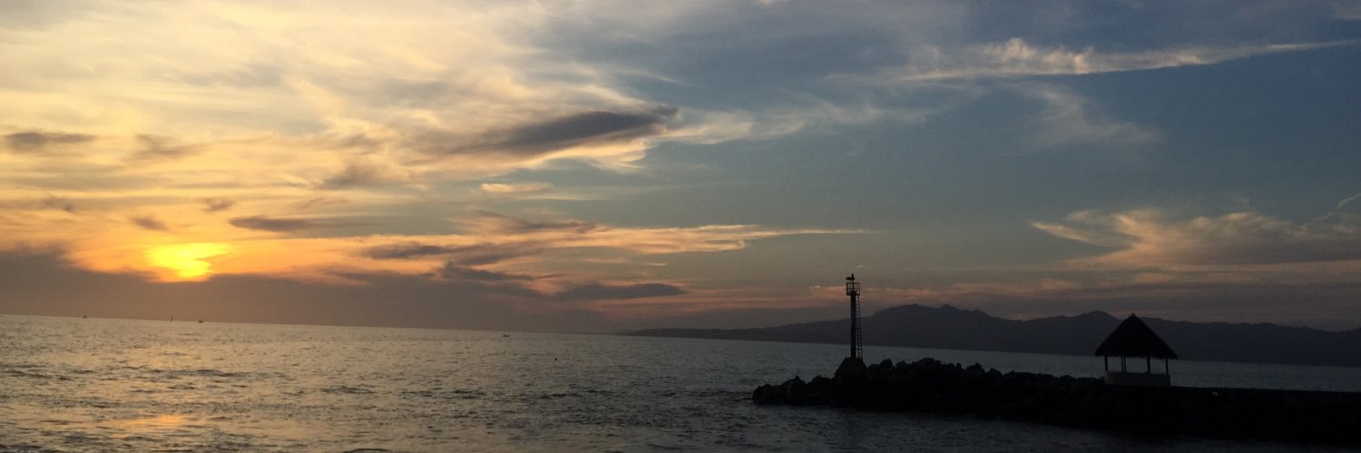 PawJin's profile banner image