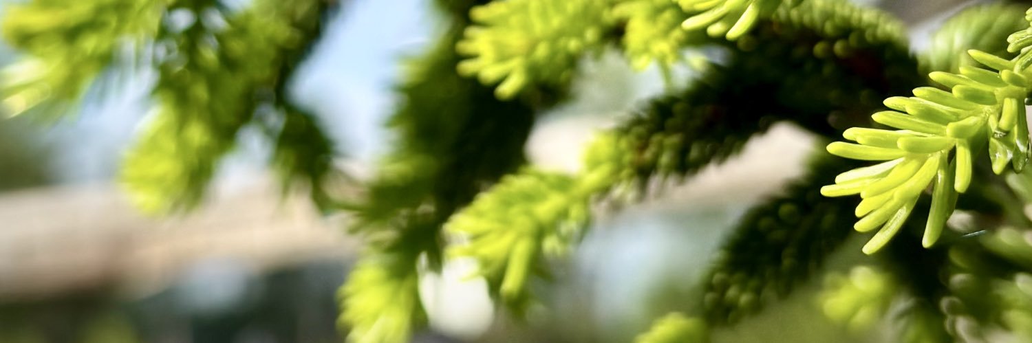 src944's profile banner image