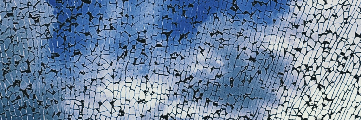 吃鱼鱼鱼鱼 banner
