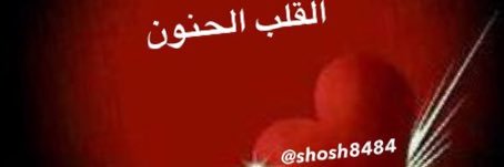 shosh8484's profile banner image