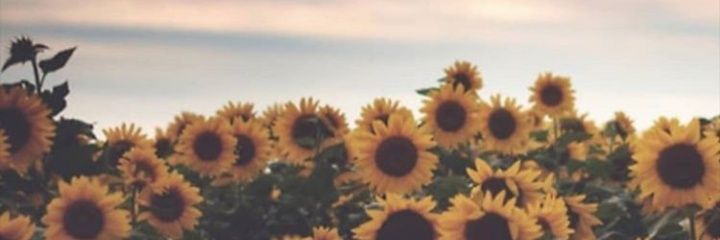 ZFV0103's profile banner image