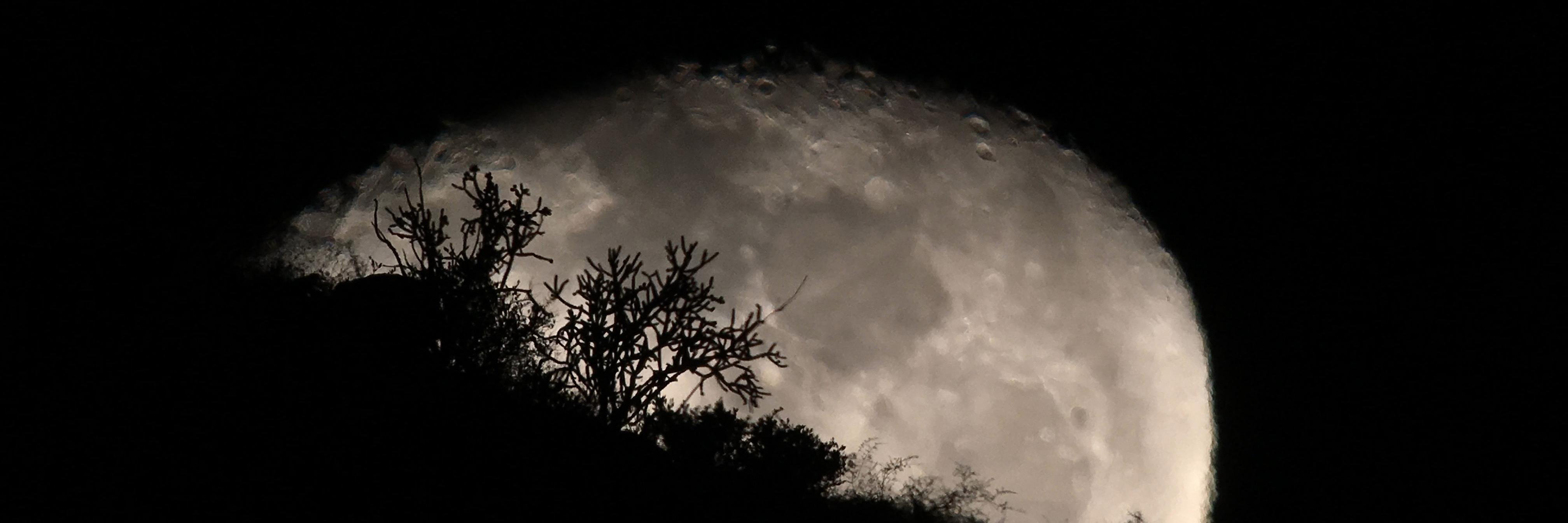 Beth Injasoulian banner