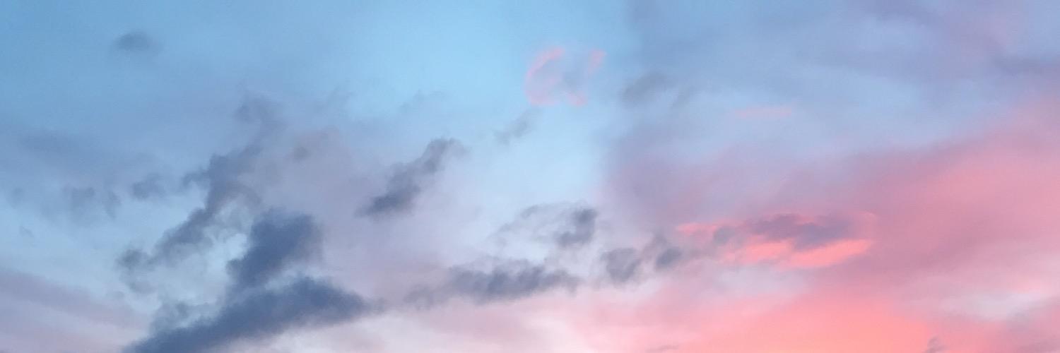 tinytimmi's profile banner image