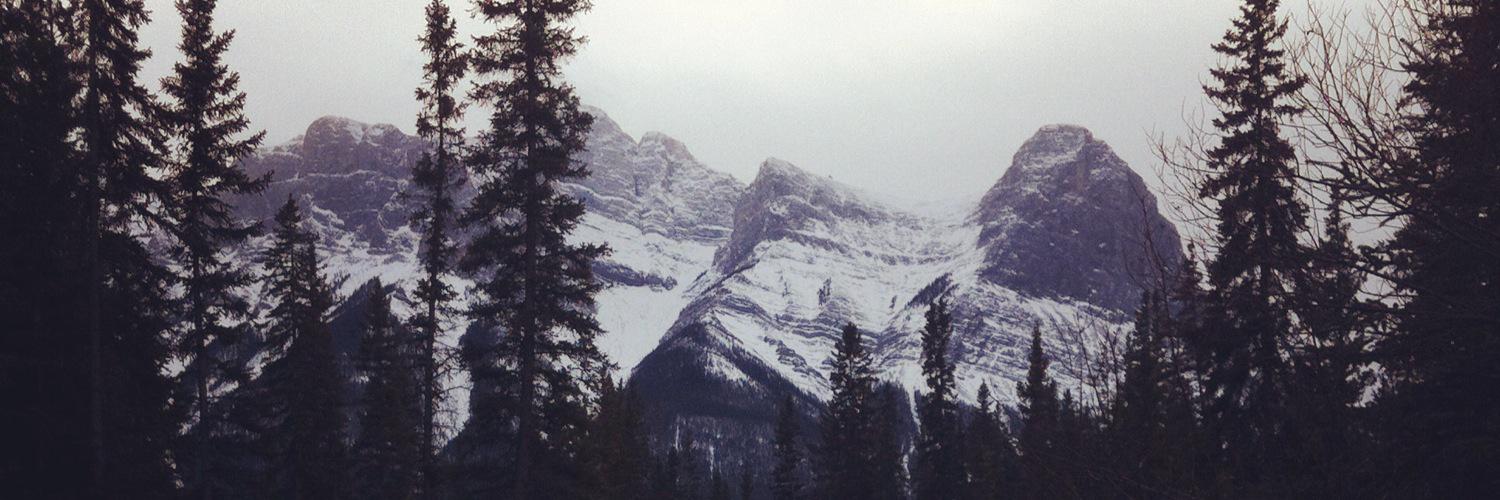 Allisonpriz's profile banner image