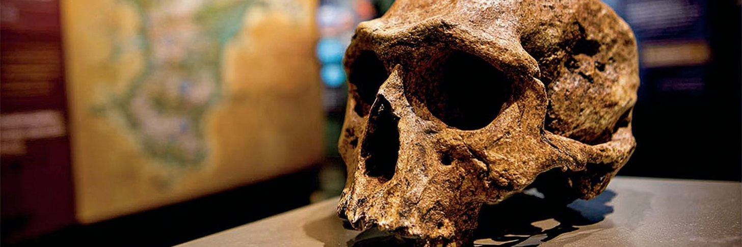 Compelling Archaeology banner