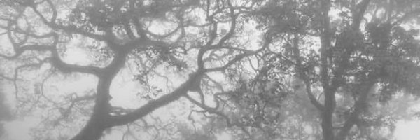 melaurrr21 Profile Banner