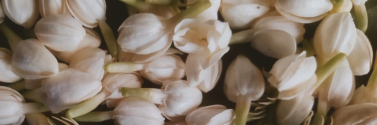 ☈ banner