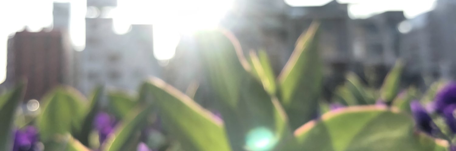 _mmk97's profile banner image