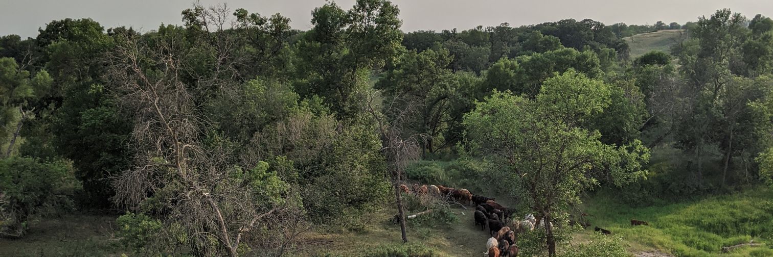 cubr0's profile banner image