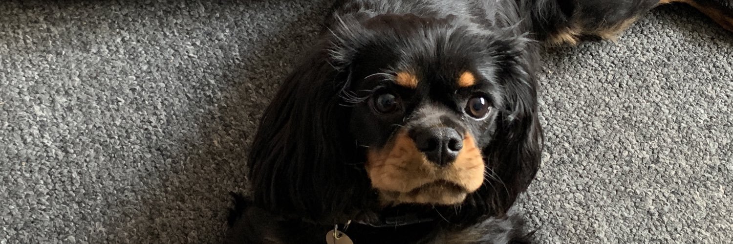 VICKI - #LGBTQI+ 💞 Ace BiRomantic 💖💜💙🖤🤍💜 banner