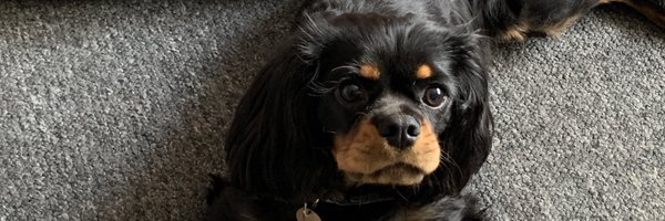 v23474 Profile Banner