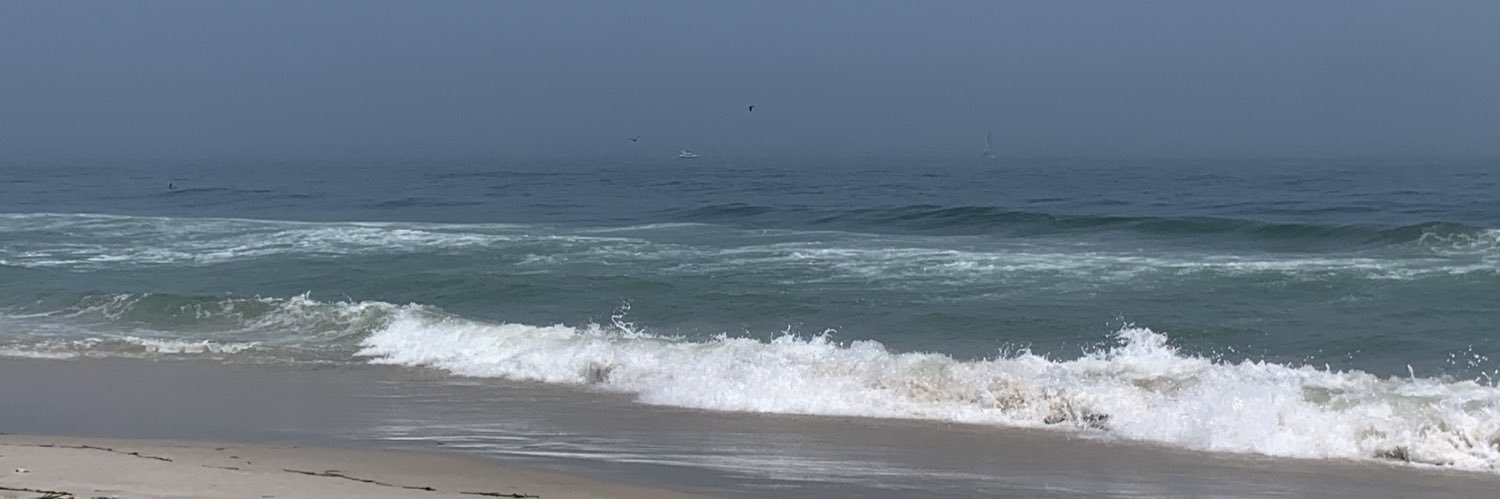 Coastalpines's profile banner image