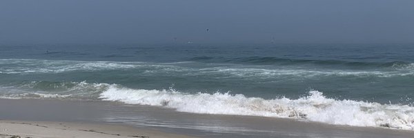 Coastalpines Profile Banner