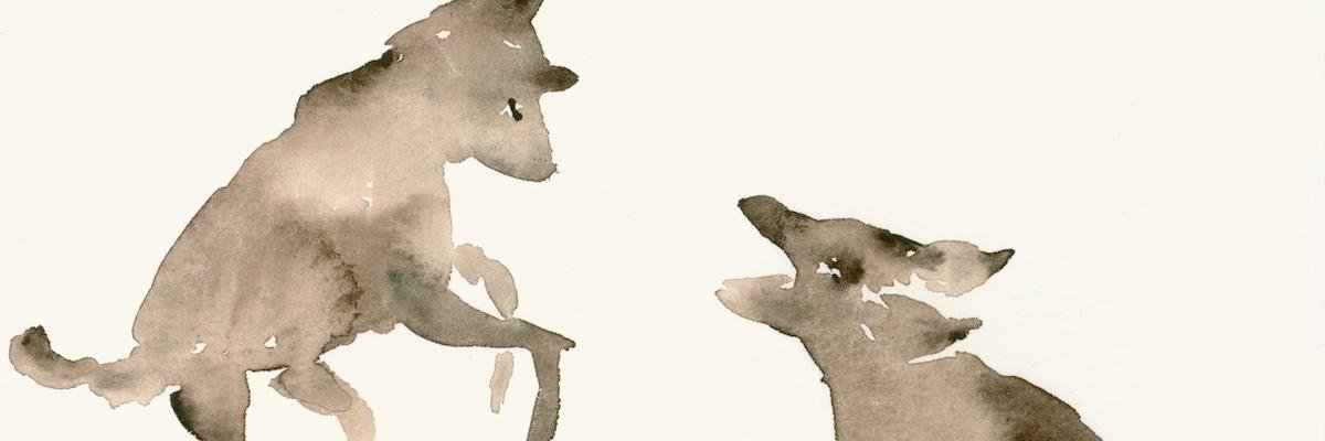 Yellerkin's profile banner image