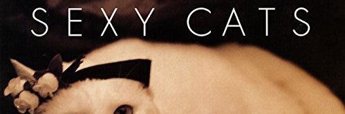 vampwolflady's profile banner image