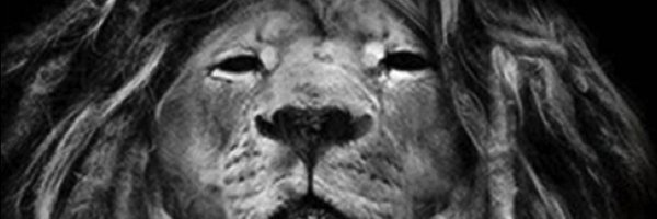 iamra Profile Banner