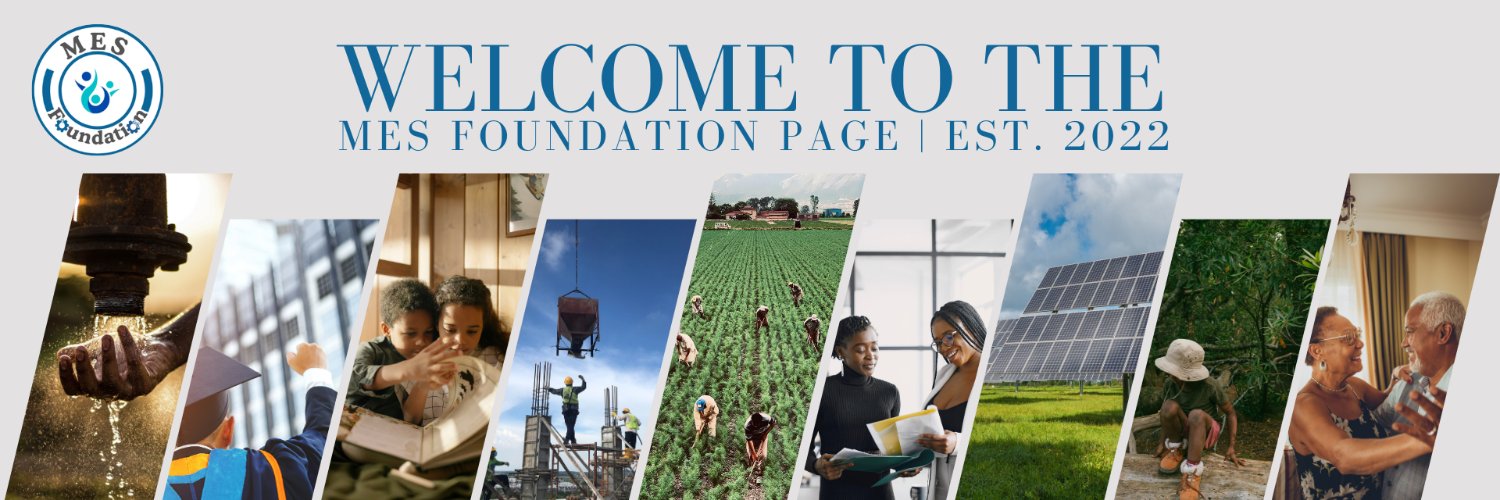 MESFoundationSA's profile banner image