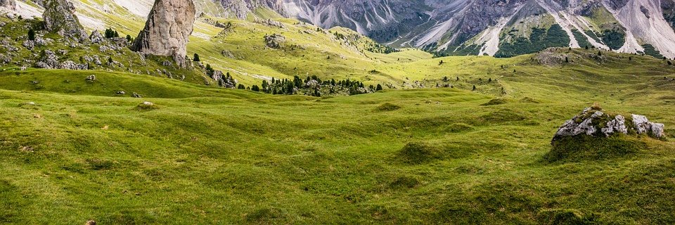 berod_eth's profile banner image