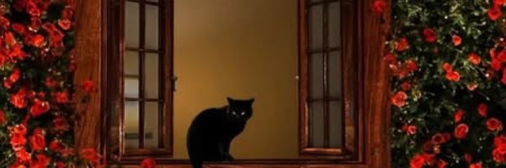 AyuDistira5748's profile banner image
