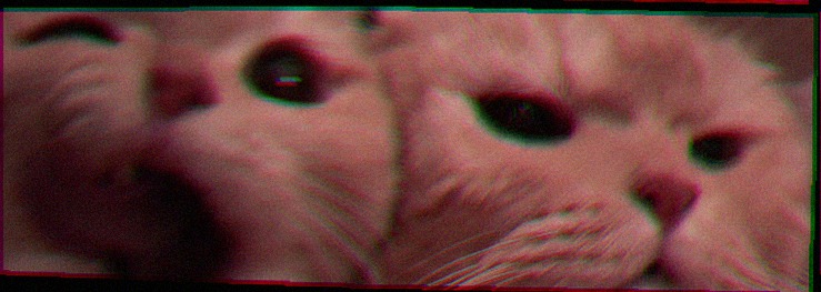 Ochepee33's profile banner image