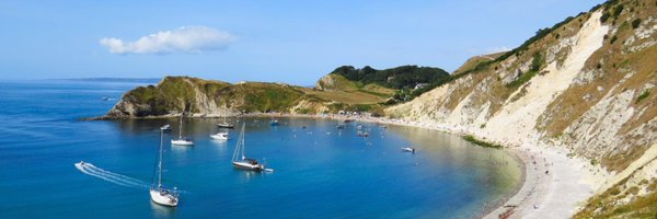 systole_ Profile Banner