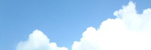 Dexibuprofen77 Profile Banner
