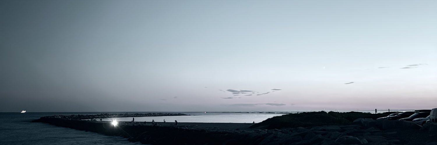 Telteus / BEANTOWNSOX79 banner