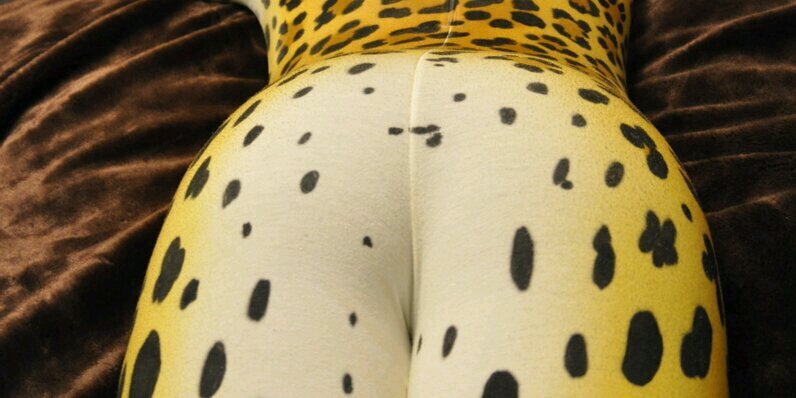 Spandex Menagerie banner