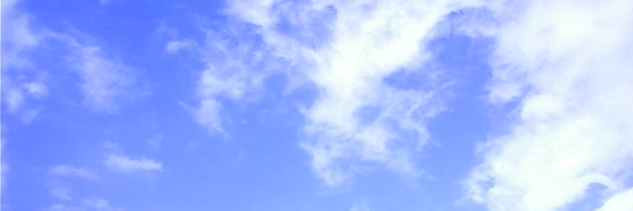 RYUJIs_Partner's profile banner image