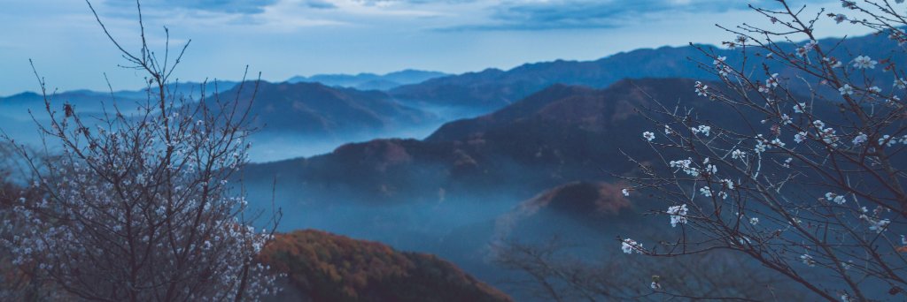 Carnetsdalice's profile banner image