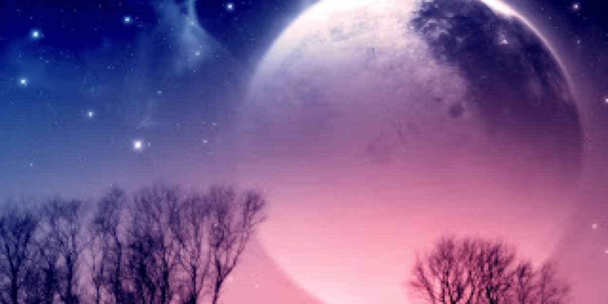 saud22223's profile banner image