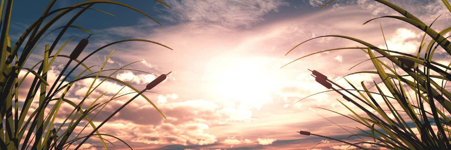 MaryVannyyy's profile banner image