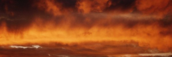 Briggite929173 Profile Banner