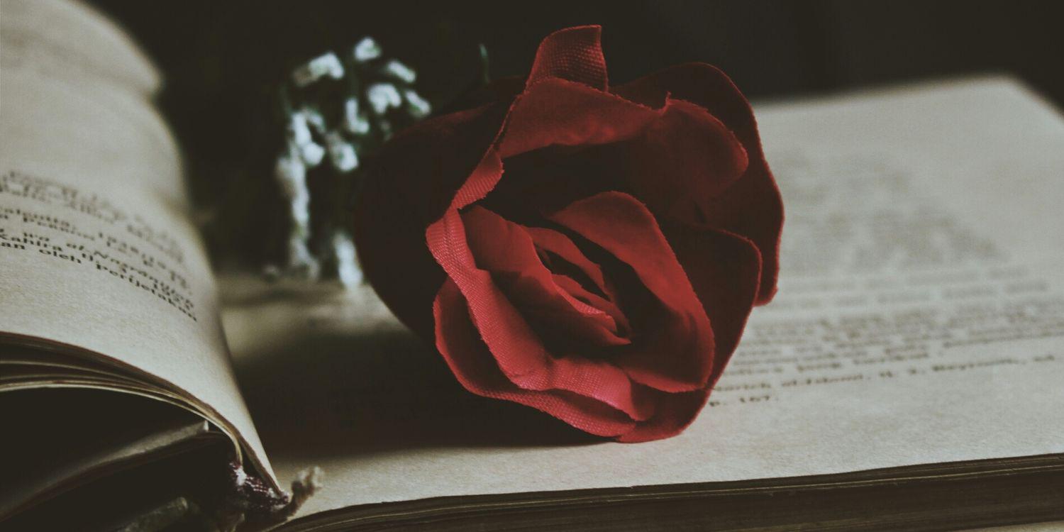 ririn_gorin's profile banner image